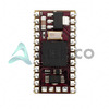 SS1-IC