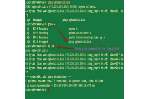 „ForglePland“ (FG) komanda „Unix“ sistemose: sintaksė, naudojimas ir praktiniai pavyzdžiai